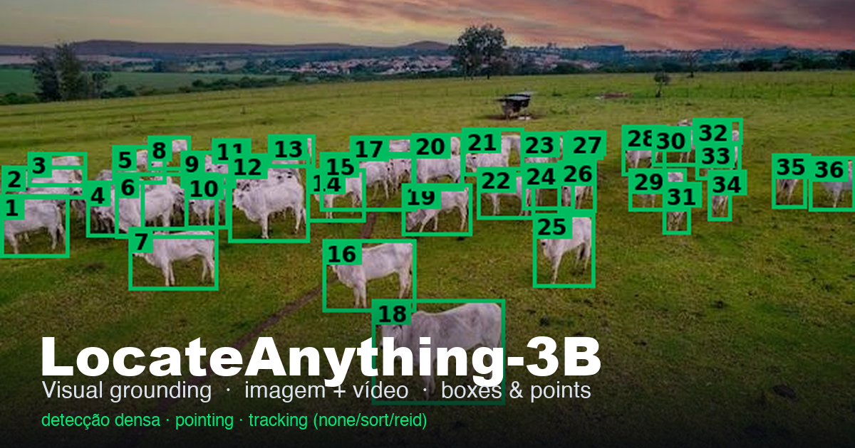 locateanything-3b-h100