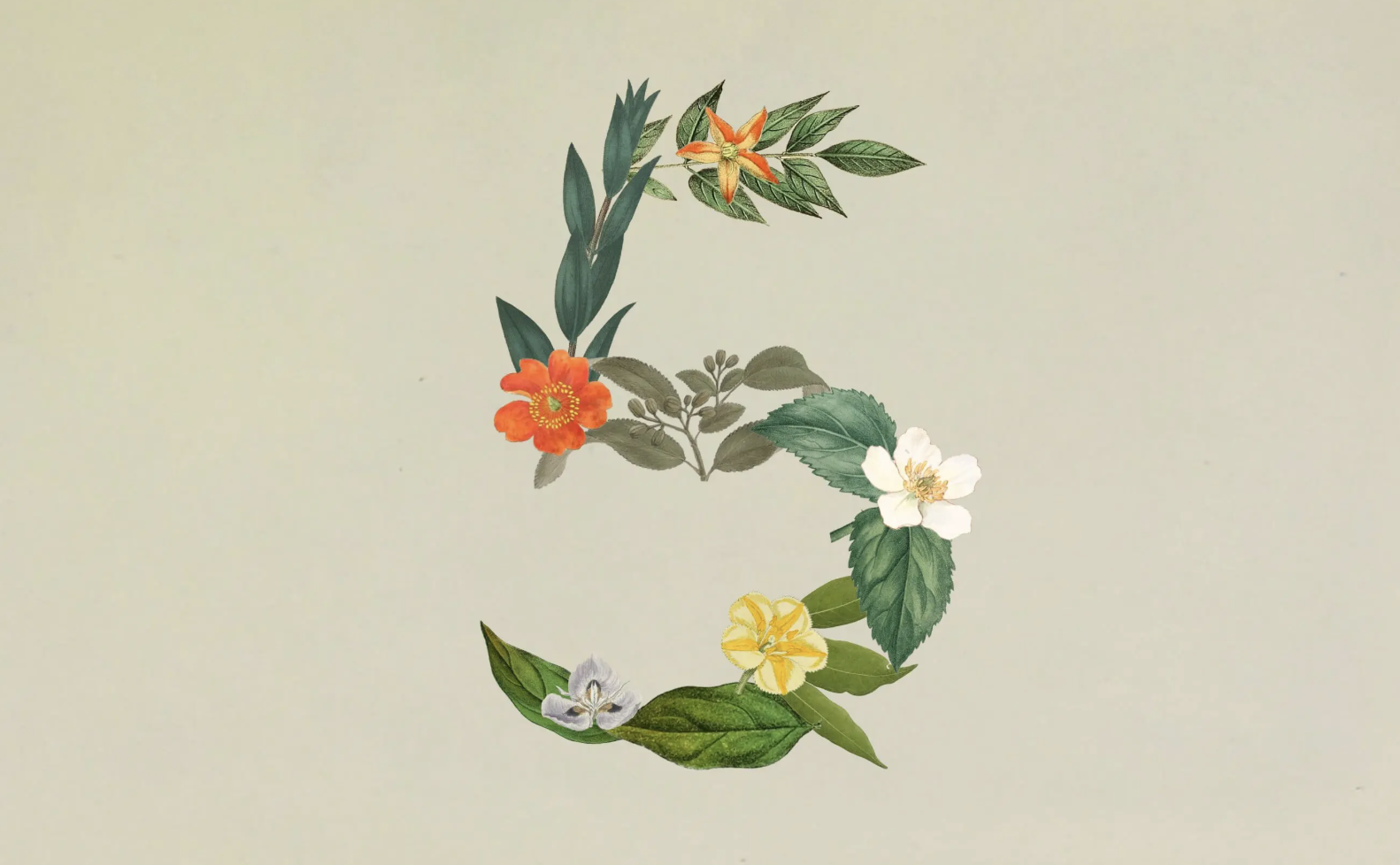 claude-sonnet-5